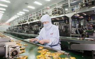 從“辣(la)條(tiao)巨頭”到“國(guo)民女(nv)神” 衛(wei)龍(long)與老幹媽工(gong)廠(chang)探秘，見(jian)證(zheng)舌尖(jian)上(shang)的安心(xin)